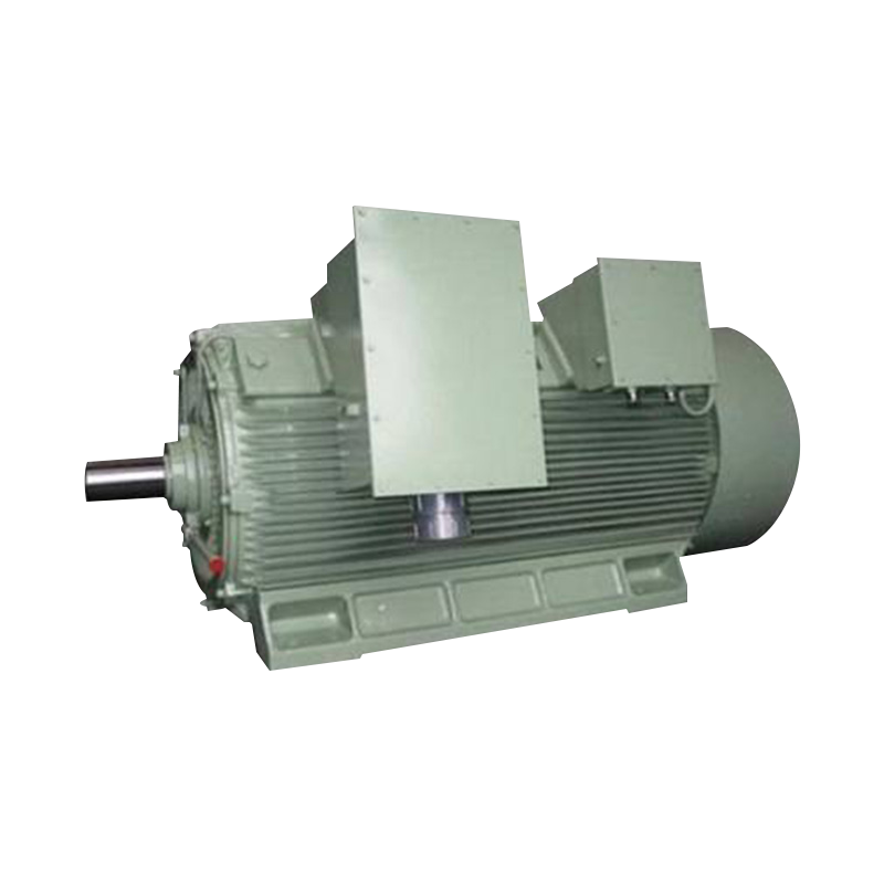 Seri Y2 Motor Induksi Tiga Fase Tegangan Tinggi (H: 355-630mm)