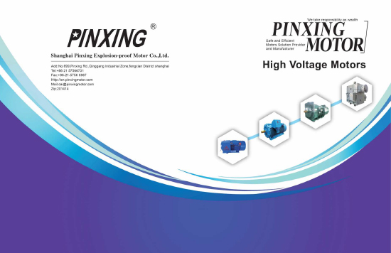 Katalog motor tegangan tinggi