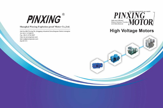 Shanghai Pinxing Explosion-Proof Motor Co, Ltd.